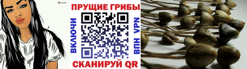 Галлюциногенные грибы мухоморы Лермонтов