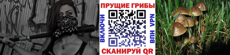 Псилоцибиновые грибы MAGIC MUSHROOMS  наркотики  дарк нет состав  Лермонтов 
